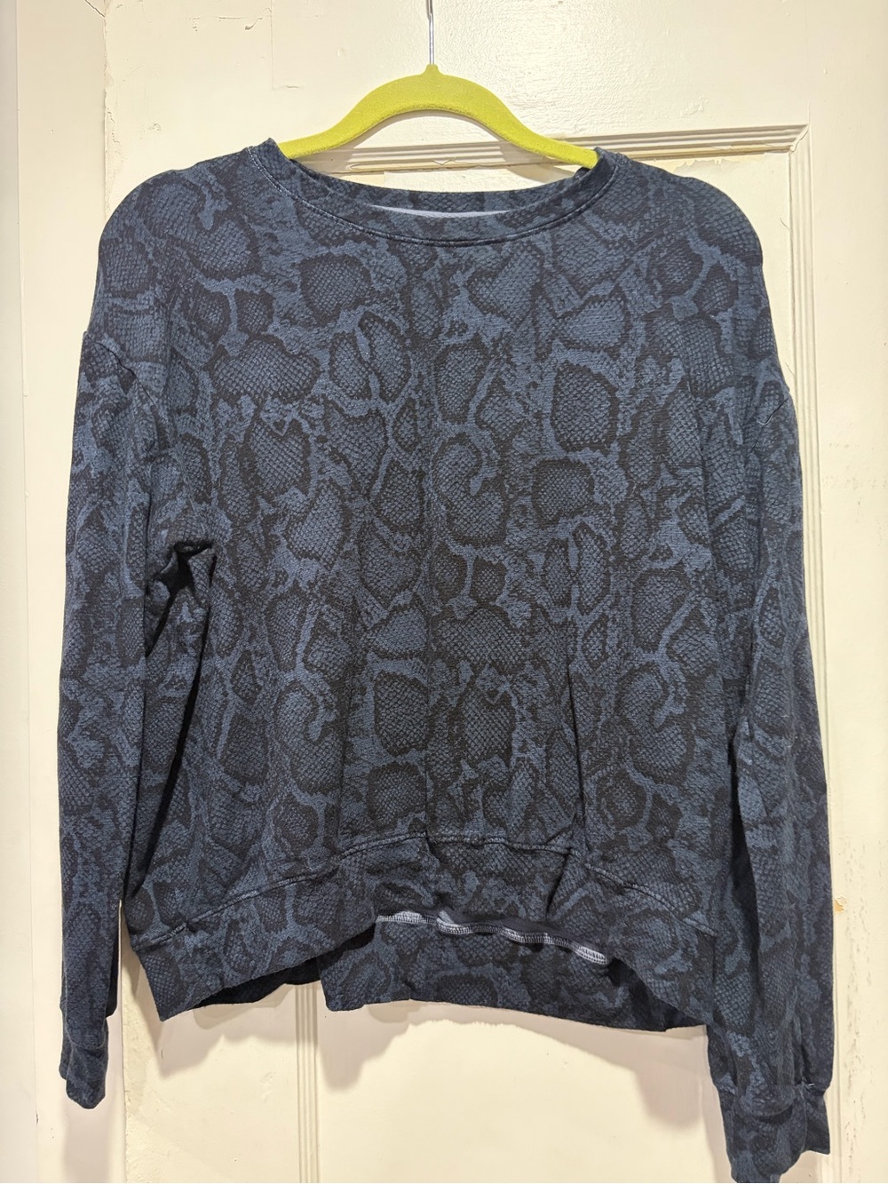 SUNDRY Blue Snake-Print Pullover Sweatshirt